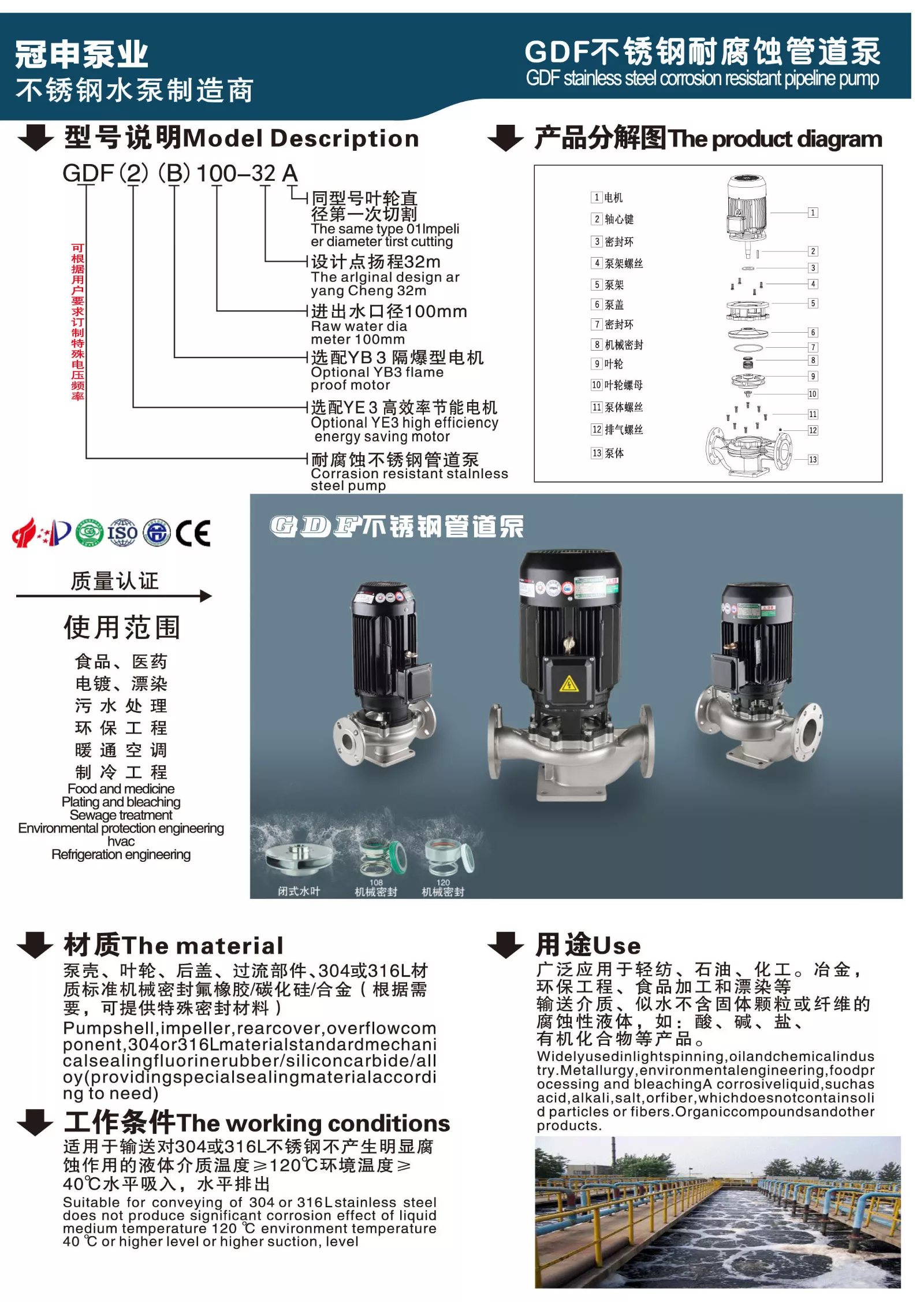 GDF31