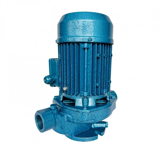 GD Vertical pipe pump