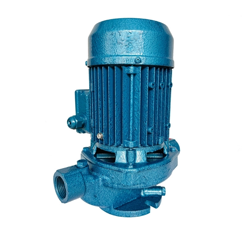 GD Vertical pipe pump