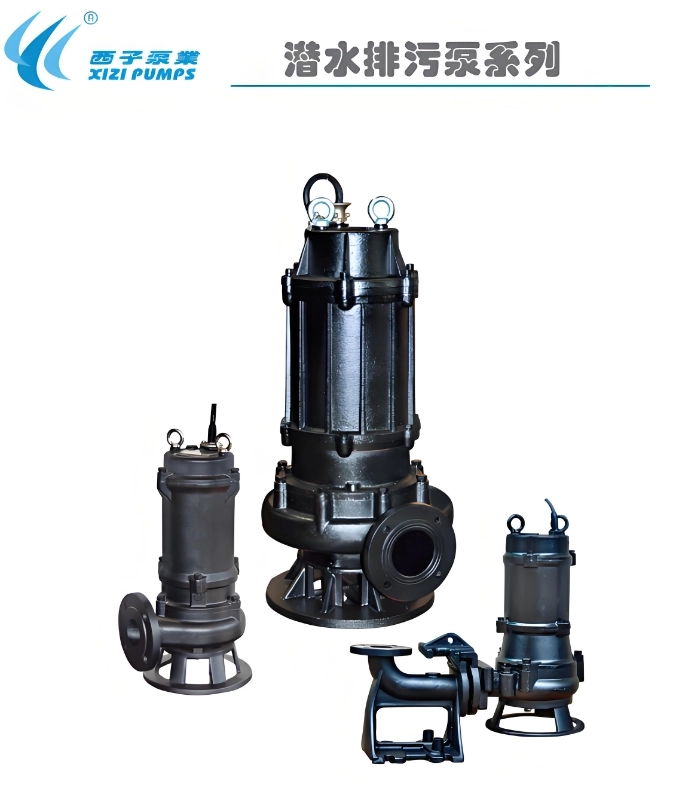 广东开平大耐泵业介绍杭州西子泵业