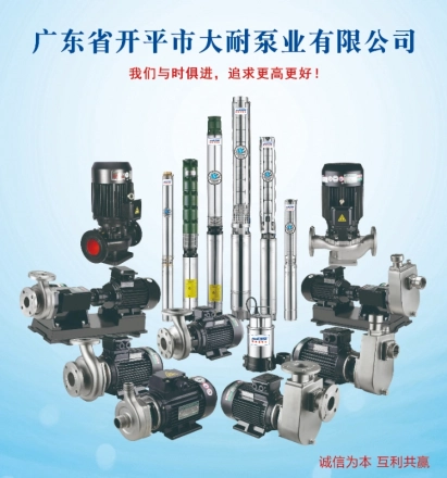 广东开平大耐泵业一2025年全球离心泵行业厂家年度复盘及2026展望