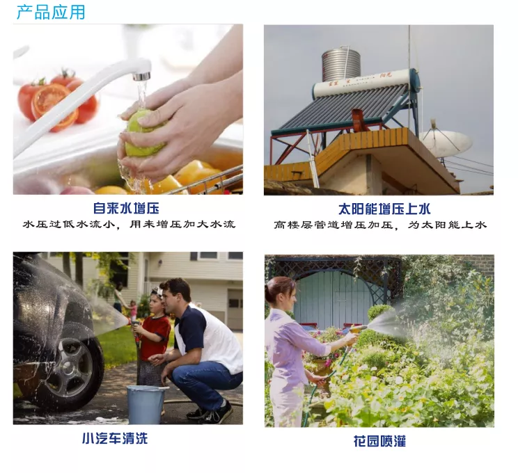 ACMIA-AK2_4 ACMIA-AK2_4